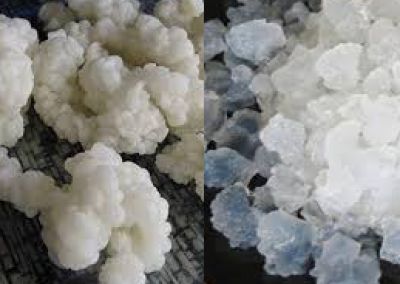 Kefir korrels bestellen Kefir korrels bestellen